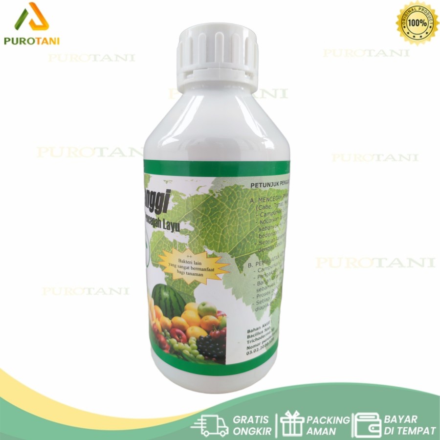 Pupuk dan Fungisida Hayati Semanggi Bacillus sp Trichoderma sp Bacillus spp 1 LT