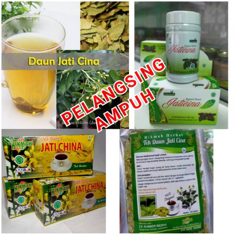 Pelangsing Herbal Daun Jati Cina Obat Diet Penurun Berat Badan Kolesterol Lemak Detox Metabolisme Shopee Indonesia