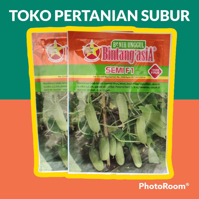 Bibit Timun Semi F1 20gr Bintang Asia

