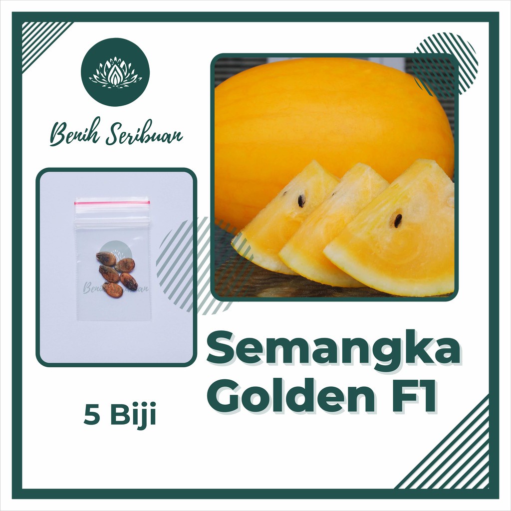 5 Benih Bibit Semangka Golden Kuning F1 Hibrida Inden Tanaman Buah Semangka Inul Premium Unggul