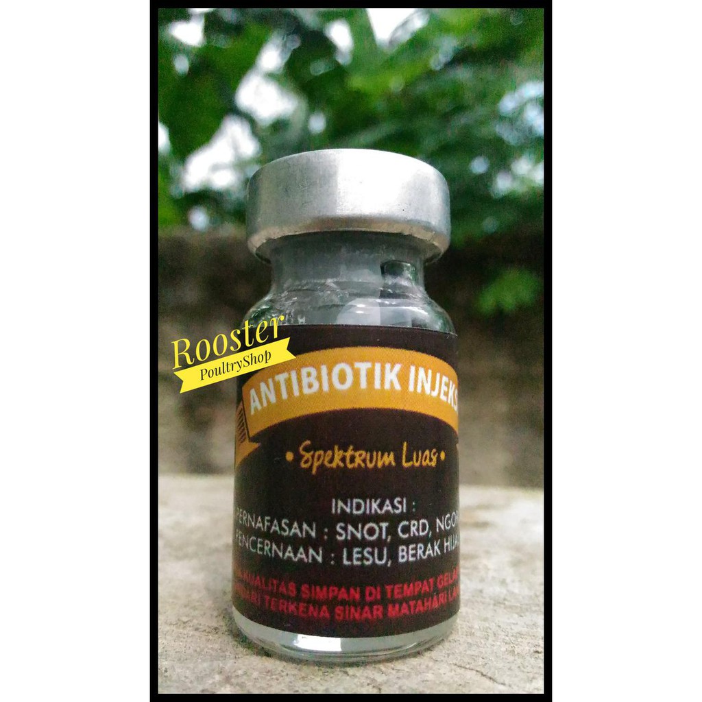 Obat Snot Lovebird Antibiotik injeksi by Ridwan EP