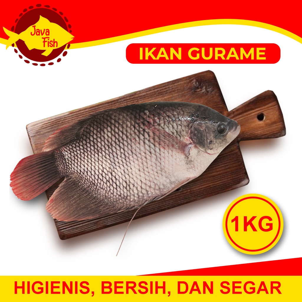

Ikan Gurame Hidup & Segar - Bisa Fillet - Potong - Bersihkan