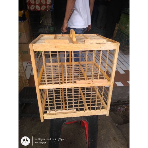 kandang dondang burung dara kayu mahoni