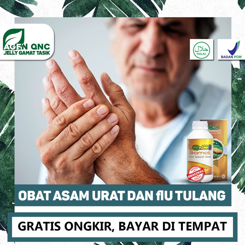 

Obat Asam Urat Dan Flu Tulang, Darah, Pengapuran, Urat Kejepit QnC Jelly Gamat Alami Bisa COD