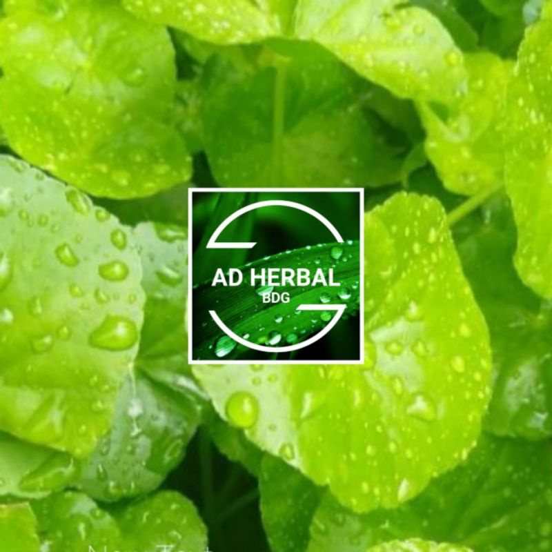 

Daun Pegagan Fres Segar 500 Gram