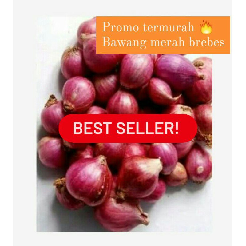 

TERLARIS BAWANG MERAH BREBES