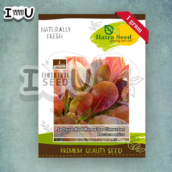 Haira Seed BIbit-BIji Selada Red Romaine Cimarron