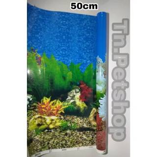 Unduh 400 Koleksi Background Aquarium Keren HD Gratis
