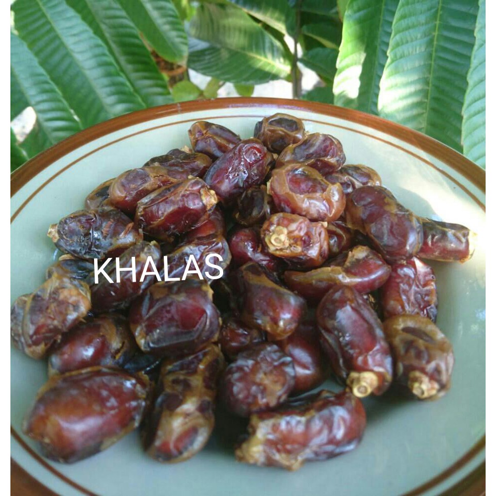 

KURMA KHALAS