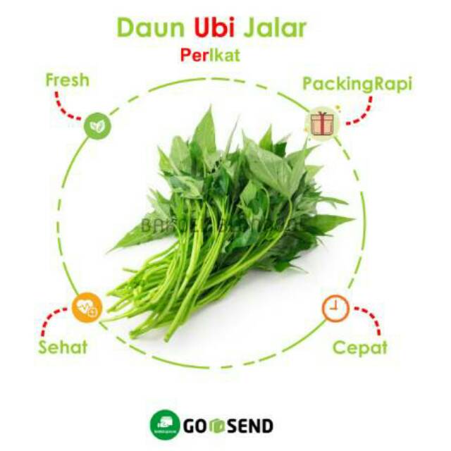 

DAUN UBI JALAR PER IKAT GODONG TELO RAMBAT SAYUR SAYURAN SEGAR / FRESH VEGETABLES / VEGETABLE