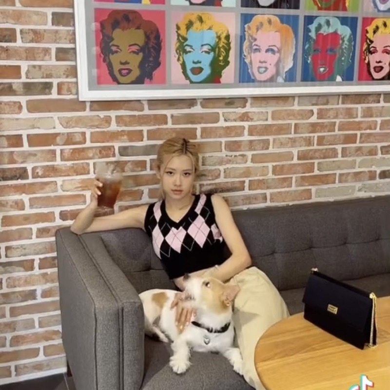 ROSE BLACKPINK diamond vest everybestore | Rompi korea argyle kotak-kotak dupes Rose Blackpink Vest