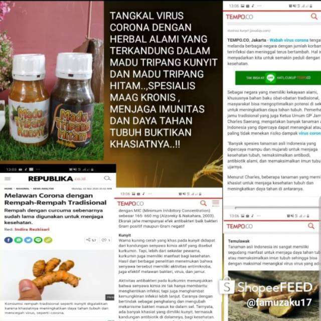 

Madu Tripang Kunyit / Madu Hitam Pencegah Corona