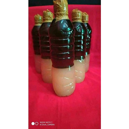 MINYAK PENCA, MINYAK URUT/PIJAT, MINYAK BALUR CIMANDE ASLI DARI BOGOR CIMANDE TALANG