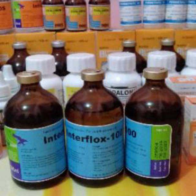 Interflox 100 ml (obat flu, bersin-bersin, batuk, hidung meler & infeksi pernafasan pada hewan)