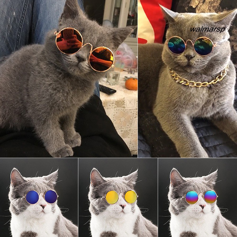 [Wal] Pet Cats Dog Glasses Sunglasses Eyewear Protection Photos Props Accessories