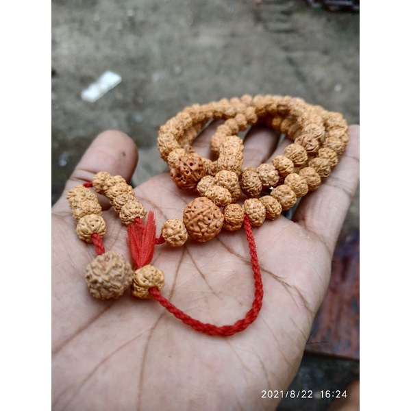 Tasbih 99 jenitri rudraksha asli 1000% kalung genitri original