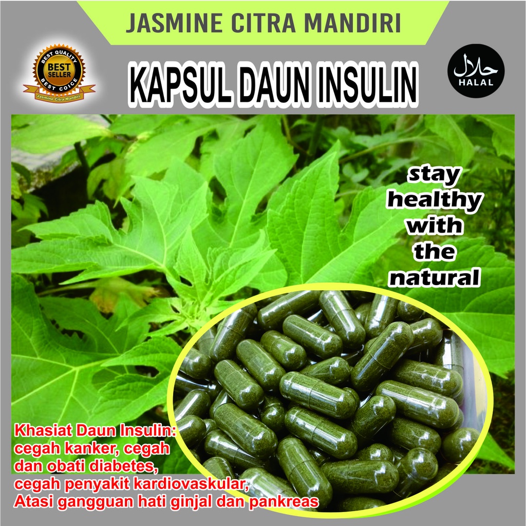 

Kapsul Daun Insulin Anti Kanker Dan Gangguan Jantung