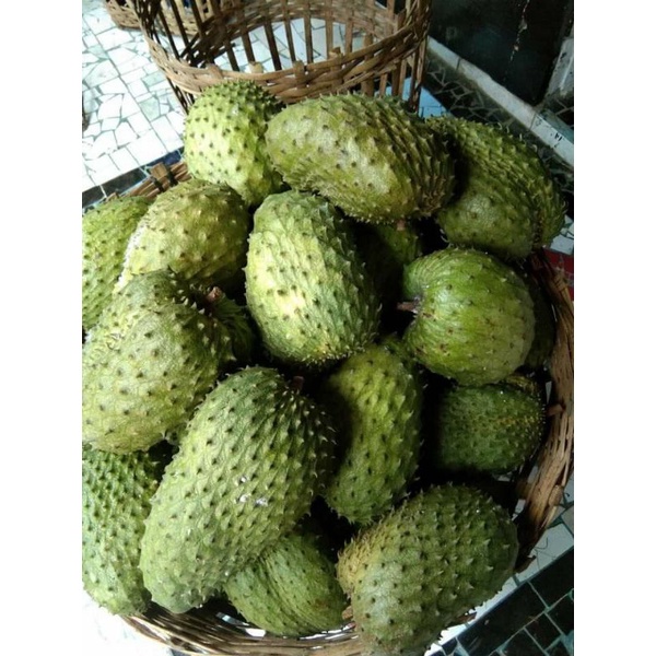 Buah Sirsak segar sirsak fresh 1 pcs