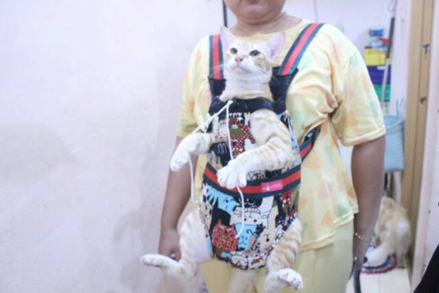 Gendongan kucing dan anjing lucu murah / baju kucing tangerang terlaris size S-XL