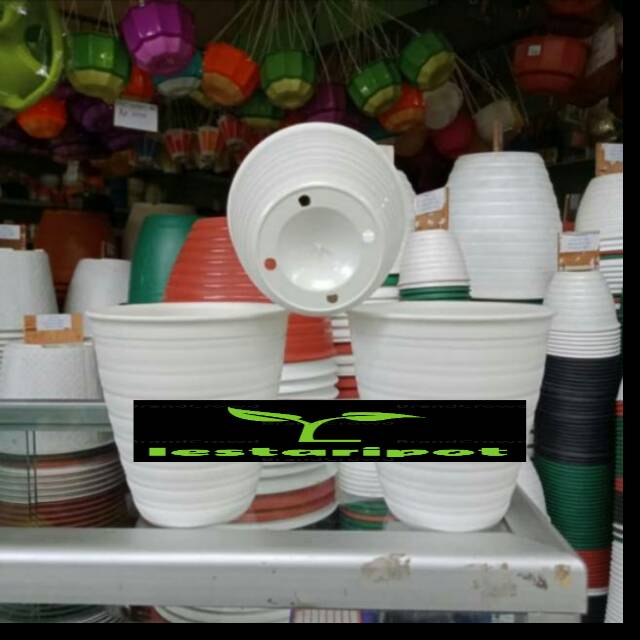  Pot  bunga  tawon  putih tinggu pirus  30cm Shopee Indonesia