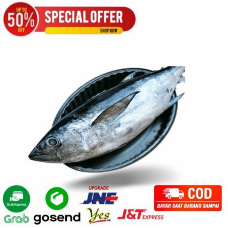 

ikan tongkol jabrig 1kg segarmart bandung