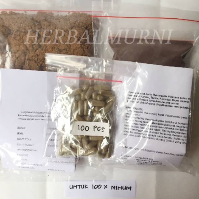 

Obat Diabetes & Hipertensi (Herbal)