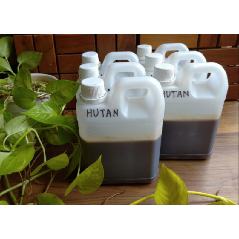 

Madu Hutan/ Wild Forest Honey (raw honey) 1000 gr