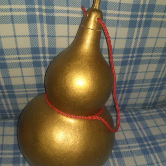 Labu botol kering natural dengan warna gold / emas