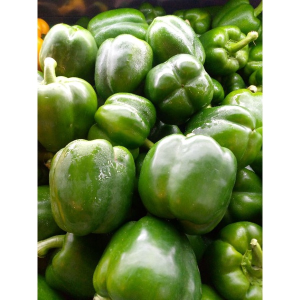 

paprika hijau