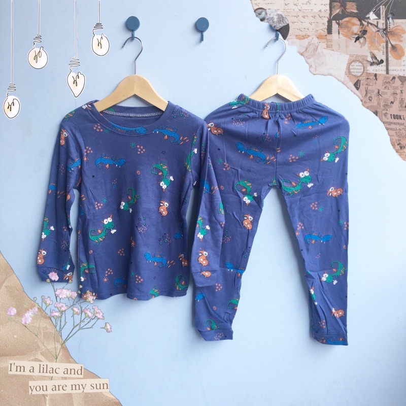 Setelan baju tidur anak / setelan baju tidur anak import / setelan baju tidur anak laki laki / setel