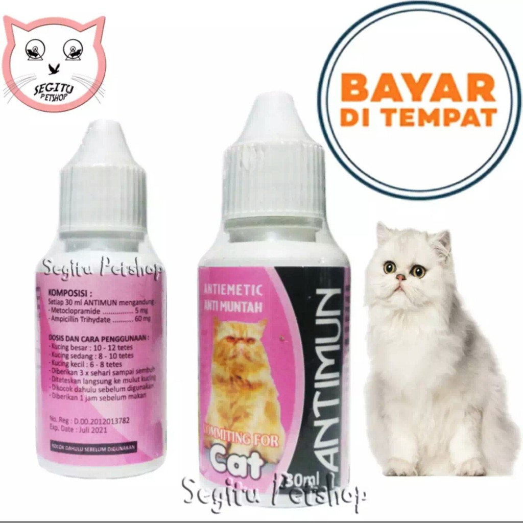 OBAT KUCING SAKIT MUNTAH MUNTAH ANTIMUN