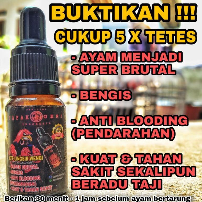 Doping Ayam Laga Atp-Lingsir Wengi