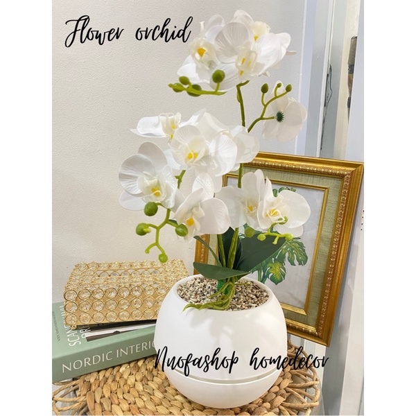 RANGKAIAN ANGGREK CABANG 3 LATEX SINAR/ BUNGA ANGGREK LATEX