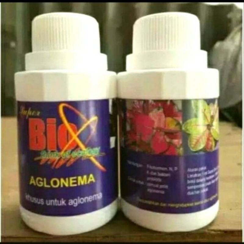 Super Bio Aglonema/Vitamin Aglonema/Super BioAglonema,