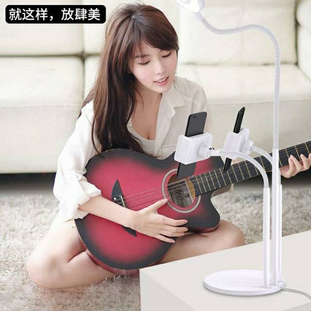 Microphone Stand Plus Ring Light And Phone Holder 3in1