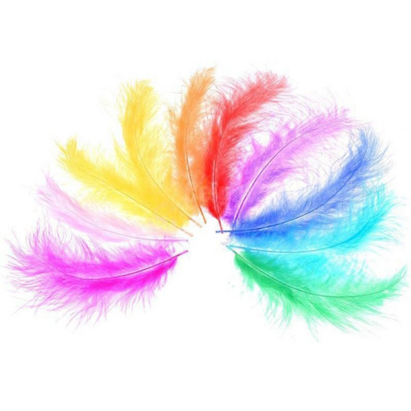 Bulu ayam warna warni