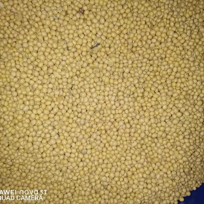 Kacang Kedelai Super Kanada Mata Putih kemasan 1 karung/ 50kg