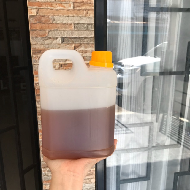 Madu/ honey bee