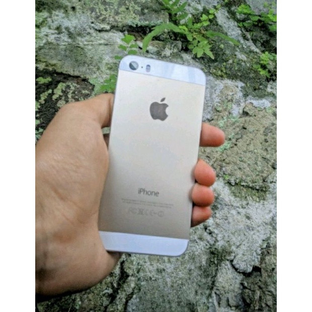 iPhone 5s 32gb Wifi only
