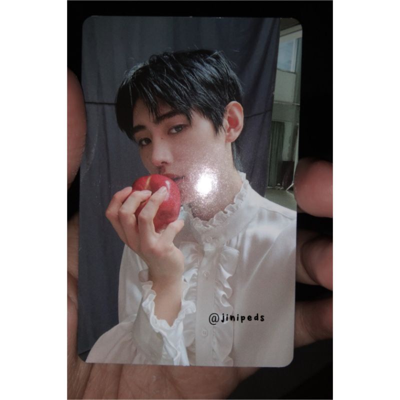 pc sunghoon dusk a ver / sunghoon apel