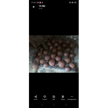 

gulamerahasliindonesiadan madu