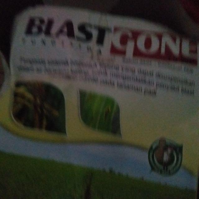 Insektisida Mipcinta 50wp 100gr Pengendali Hama Tanaman