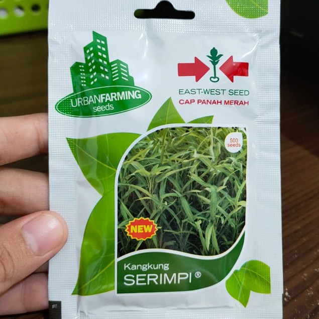 UF - benih KANGKUNG SERIMPI isi 500 biji - bibit kangkung daun sempit - urban farming panah merah