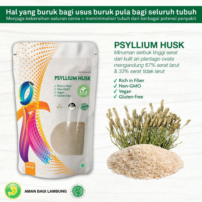 

Phyllium Husk Powder 500 Gram