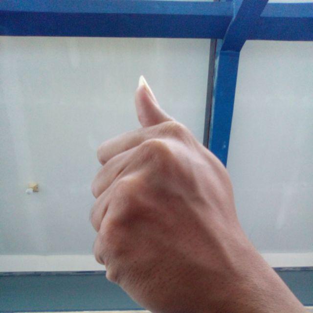 Tanaman Hias Bunga Kemuning - Pohon Kemuning