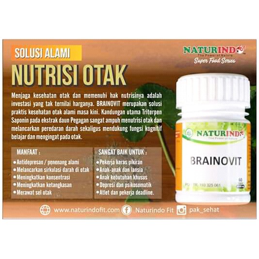 

nutrisi otak