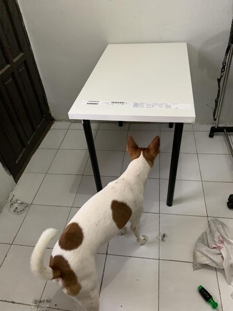 1.meja Minimalis Serbaguna Putih Hitam 100x60,meja Makan,meja Kerja,meja Belajar