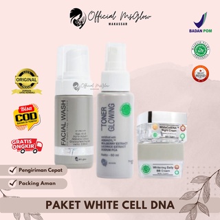 Jual White Cell DNA Night Cream Ms Glow Original / SERUM White Cell Dna ...