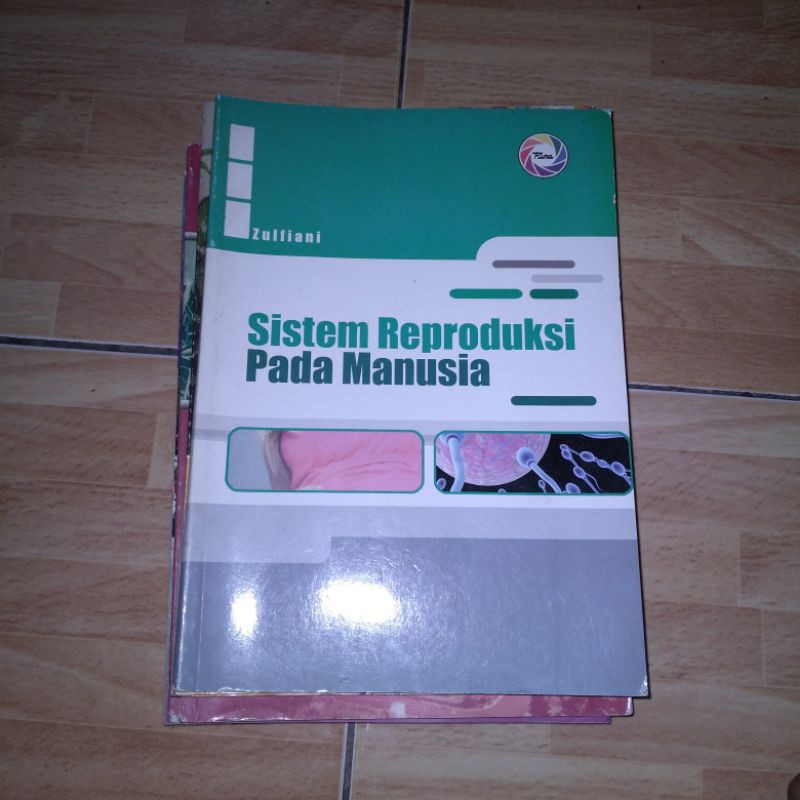 sistem reproduksi manusia