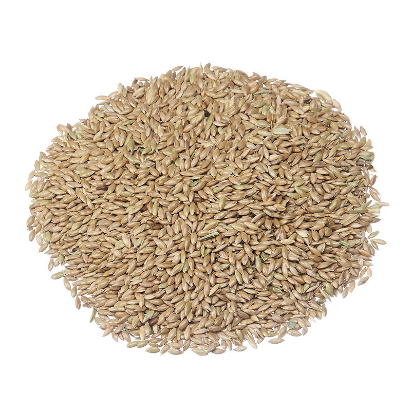 kenari seed vita canary seed repack 1kg
